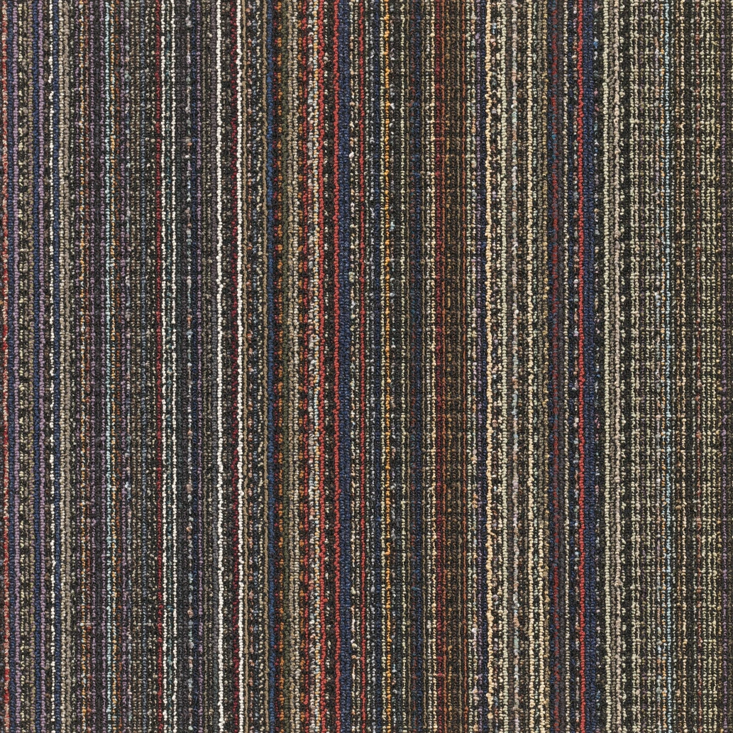 Knighton 24" X 24" (72SF/carton) Carpet Tile In BLACK VELVET