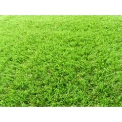 TrafficMaster 26 In. X 36 Ft. Artificial Grass Runner 17 TrafficMaster 26 In. X 36 Ft. Artificial Grass Runner -Best Flooring Store 6fd097733d27915bfecdf8e697c09105 1800x1800