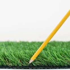 TrafficMaster Fescue Multipurpose 12 Ft. Wide X Cut To Length Artificial Grass -Best Flooring Store b1ddd8f5d680f8385749c7fcb9fbf623 1800x1800