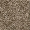 TrafficMASTER Hartsfield - Color Skypoint Twist 12 Ft. Carpet (1080 Sq. Ft./Roll)