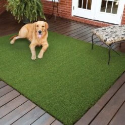 TrafficMaster Pet 3.75 Ft. X 9 Ft. Artificial Grass 10 TrafficMaster Pet 3.75 Ft. X 9 Ft. Artificial Grass -Best Flooring Store cfd1ee506129012555a64e3f84e3c864 1800x1800