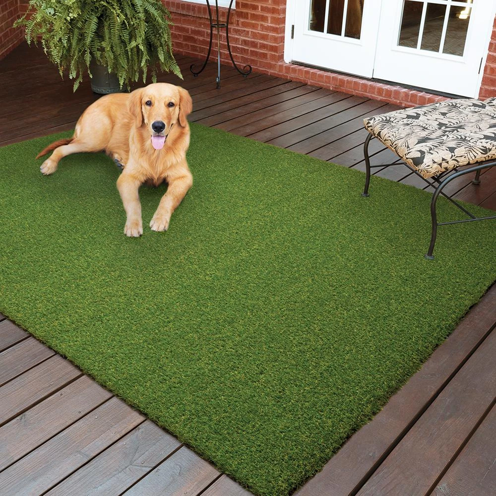 TrafficMaster Pet 3.75 Ft. X 9 Ft. Artificial Grass 4 TrafficMaster Pet 3.75 Ft. X 9 Ft. Artificial Grass - Image 4